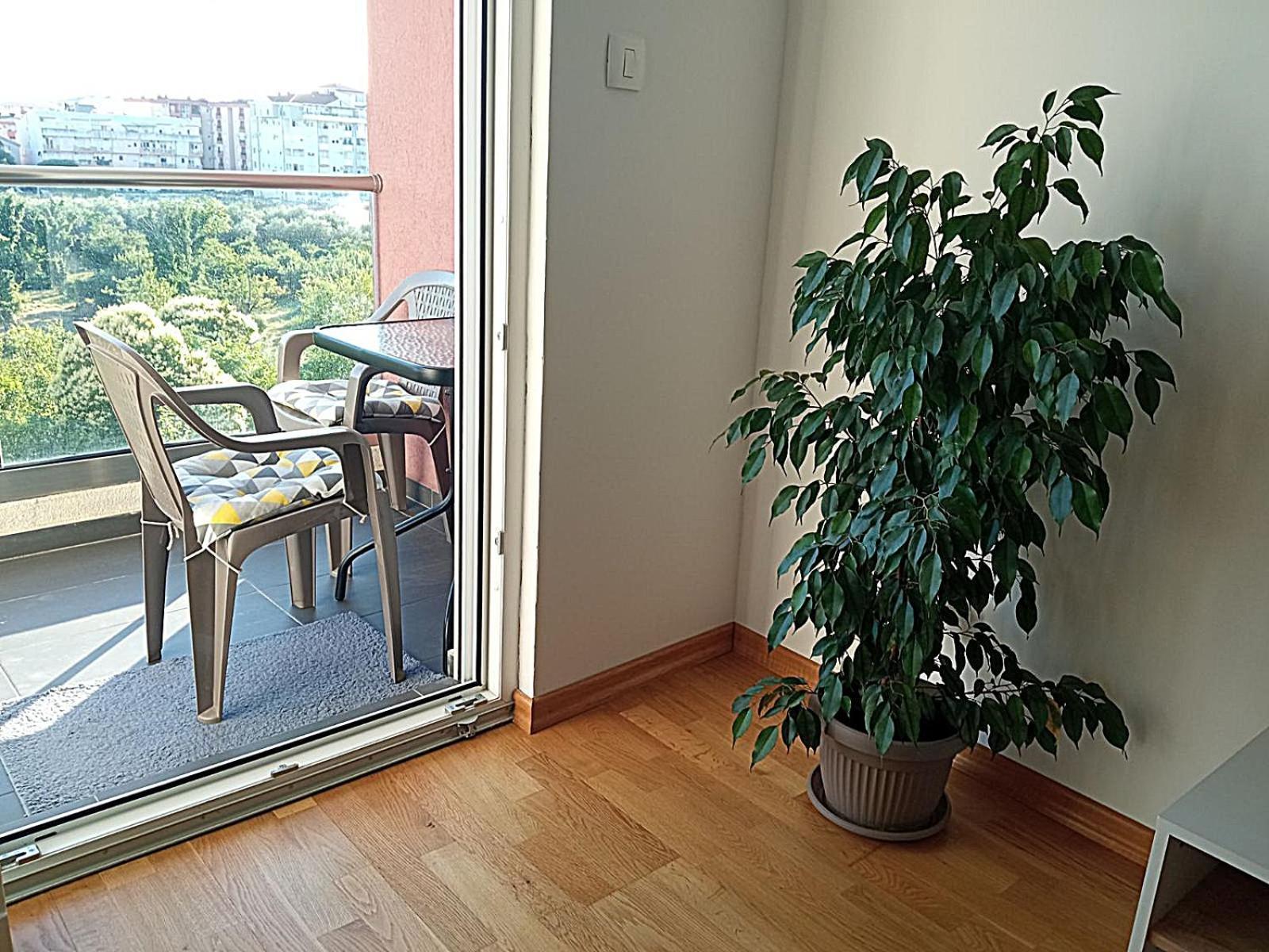 Renta Apartman Podgoriçe Dış mekan fotoğraf